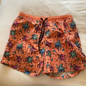 Cabana bro swim trunks
